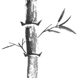 Naturheilpraxis Ilona Silbermann