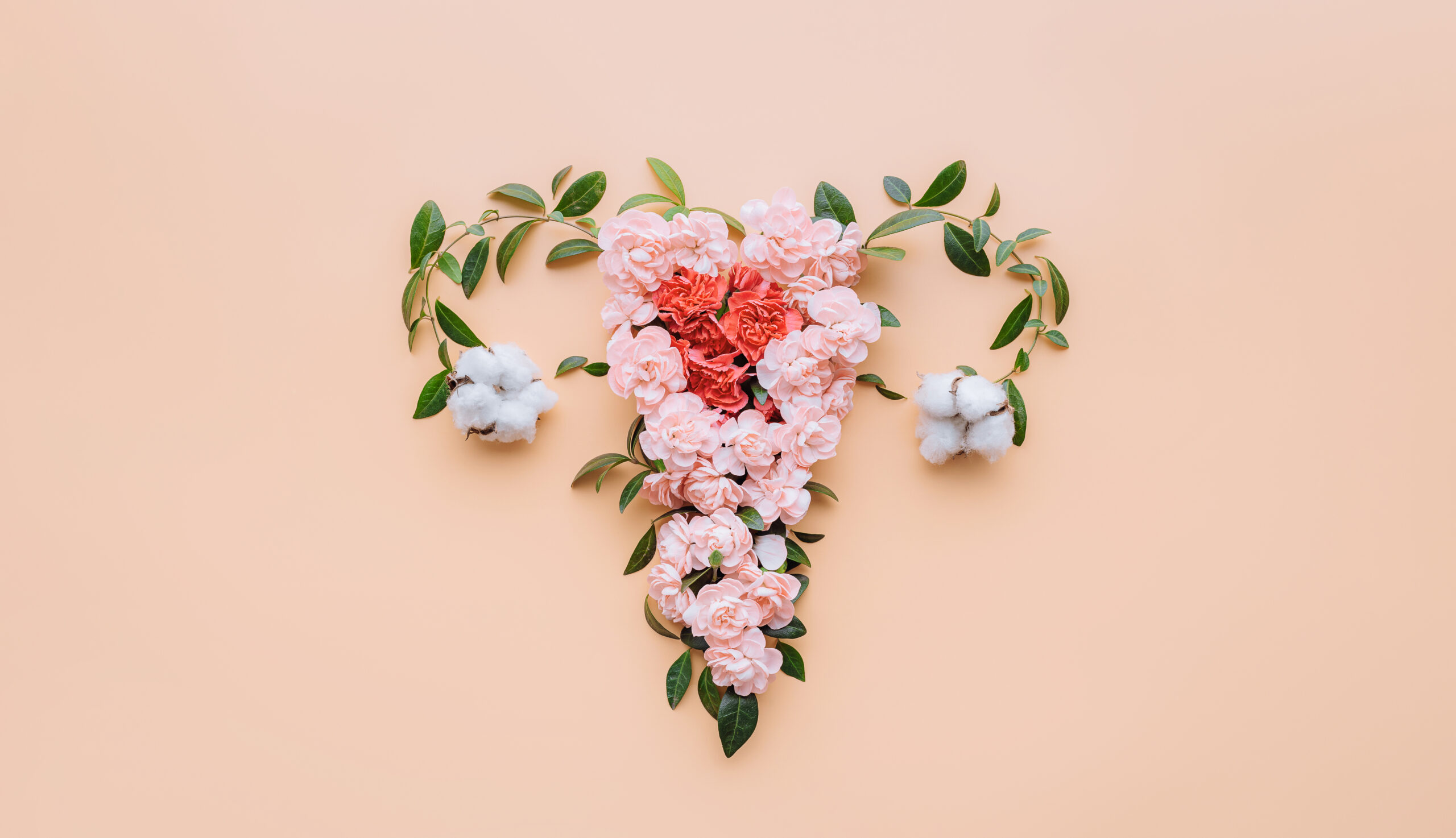 Abstraktes Bild der Gebärmutter. Weibliches Fortpflanzungssystem aus Blumen und Blättern. Konzeptionelles Bild der Gebärmutter.